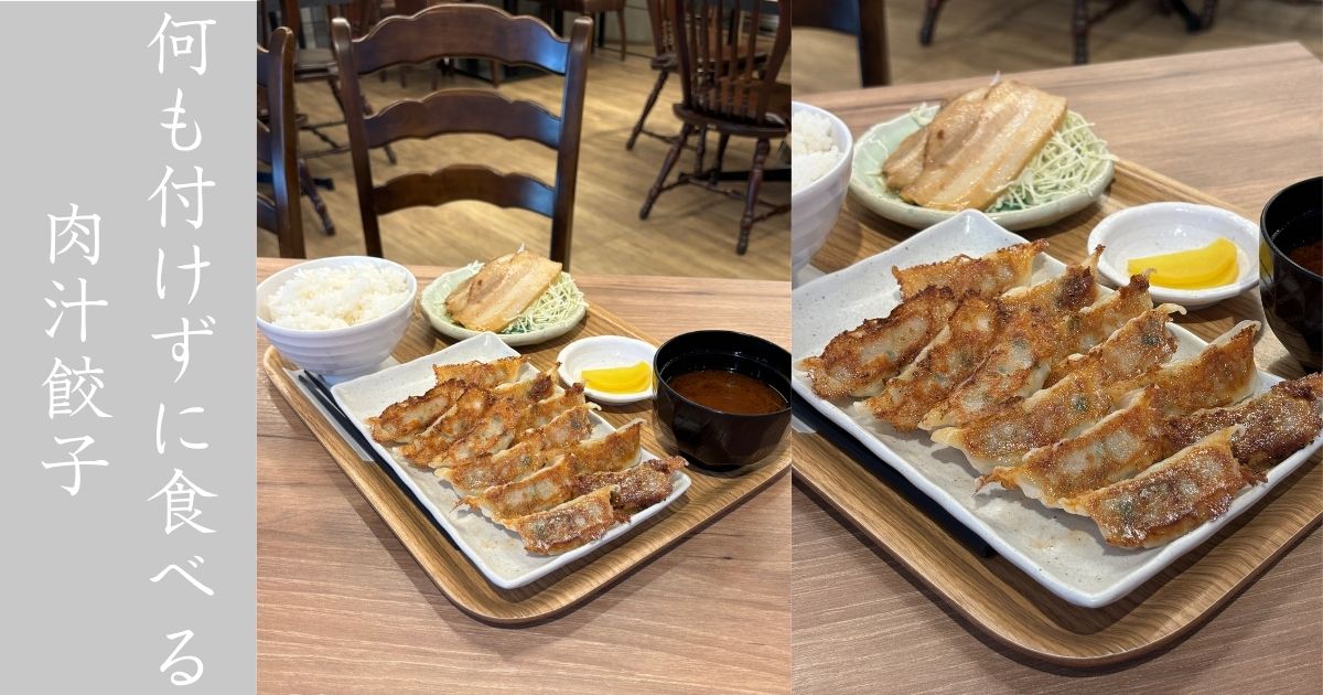 クニトリ食堂（豊田市）　肉汁W餃子がタレ無しダイレクトでも美味い。メニュー情報まとめ